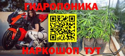 гашишное масло Будённовск