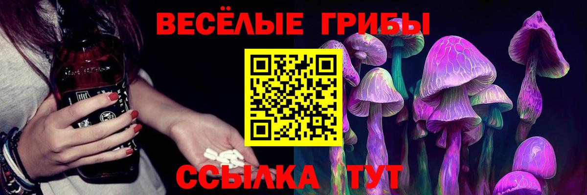 Кубинка  Галлюциногенные грибы MAGIC MUSHROOMS  цена наркотик  Вход с VPN 