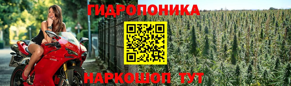 Шишки марихуана VHQ  Шишки марихуана тримм  Кубинка  МАРИХУАНА марихуана  Вход с VPN 